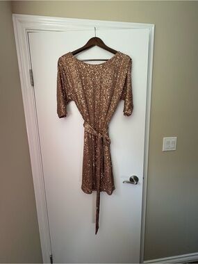 Sparkling Rose Gold Sequin Mini Dress with Tie Waist